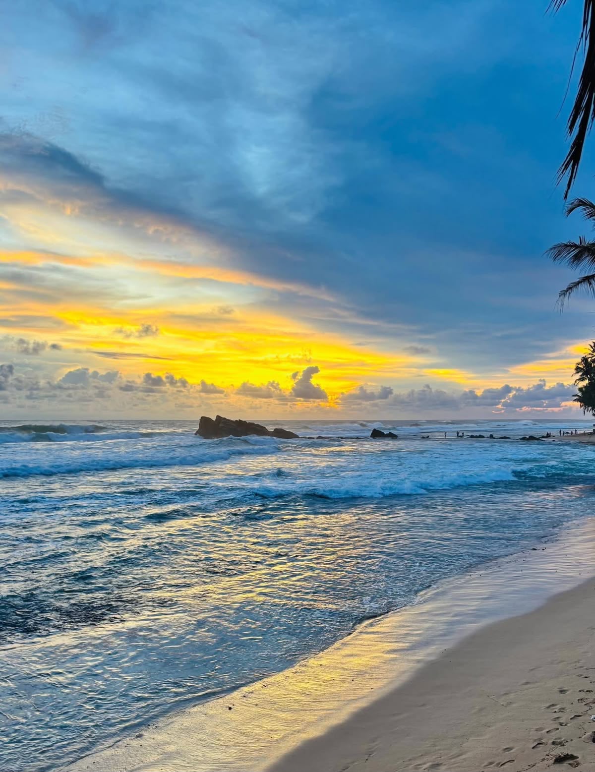 Whispers of Paradise